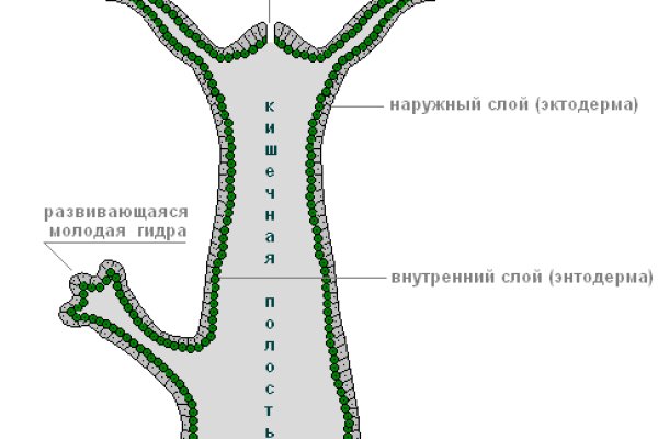 Кракен настоящий сайт vtor run