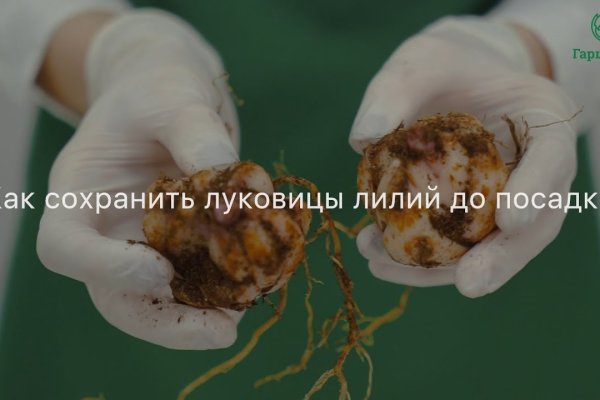 Ссылки кракен телеграф