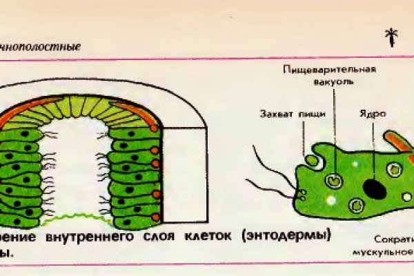 Ссылка на кракен тор kraken clear com